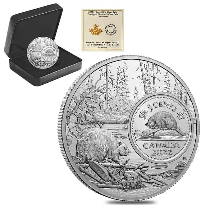 2022 Canada 5 oz Proof Silver The Bigger Picture - The Beaver 5C Coin .9999 Fine (w/Box & COA)
