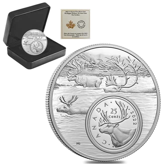 2022 Canada 5 oz Proof Silver The Bigger Picture - The Caribou 25C Coin .9999 Fine (w/Box & COA)