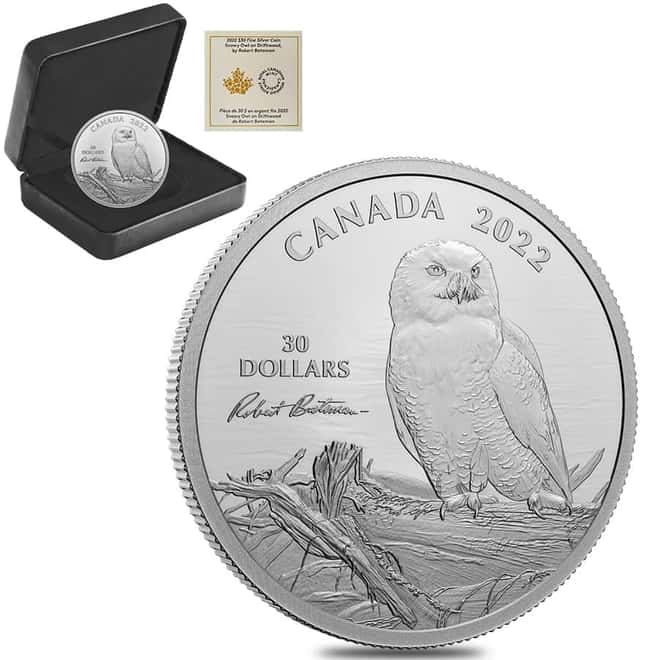 2022 Canada 2 oz Proof Silver Snowy Owl On Driftwood Coin .9999 Fine (w/Box & COA)