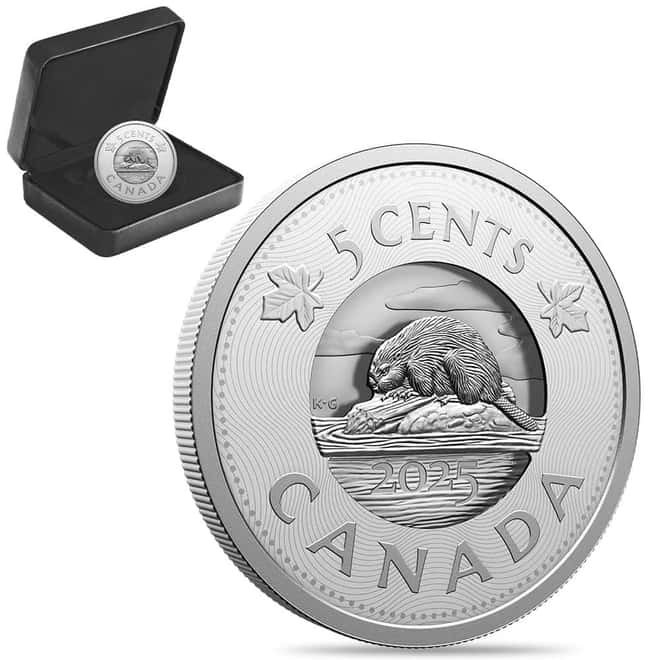2025 Canada 3.5 oz Multilayered Beaver 5C Proof Silver Coin .9999 Fine