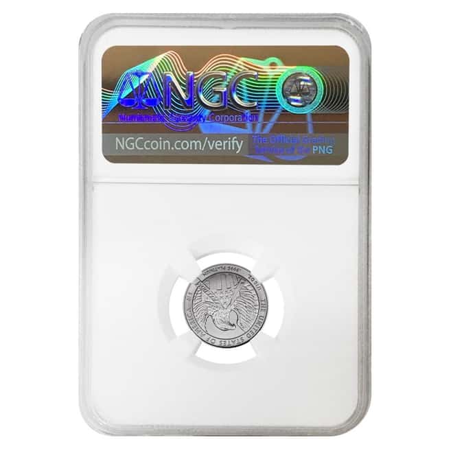2007 W 1/10 oz $10 Burnished Platinum American Eagle NGC MS 70