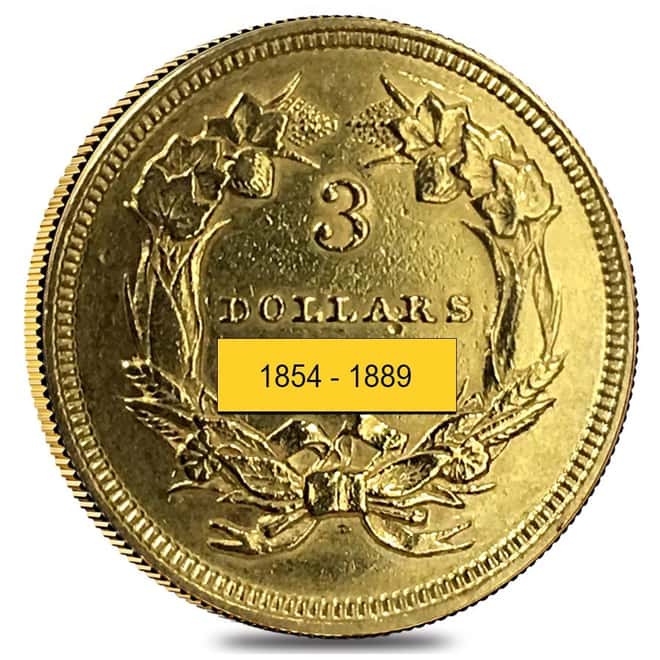 $3 Gold Indian Princess Head - Polished or Cleaned (Random Year, 1854-1889)