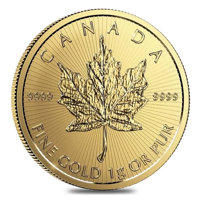 2019 25 x 1 gram Canadian Gold Maples $.5 Coin .9999 Fine - Maplegram25™ (In Assay)