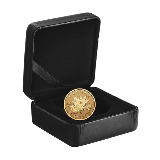 2023 Canada 1/20 oz Gold Everlasting Maple Coin .9999 Fine