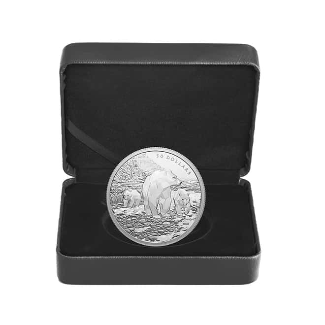2023 Canada 2 oz Silver Grizzly Bears Multifaceted Coin