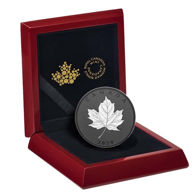 2024 Canada 5 oz Maple Leaves in Motion Silver Coin .9999 Fine