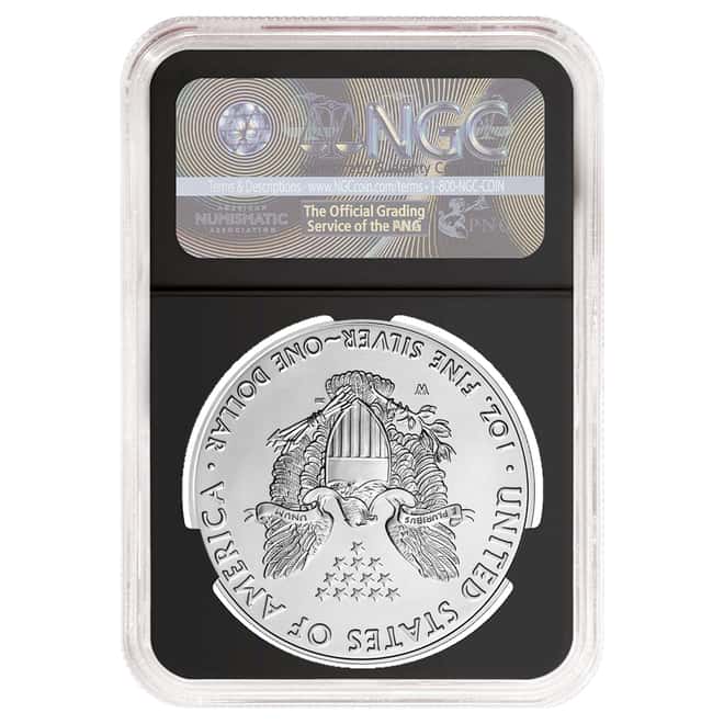 2017-W 1 oz Burnished Silver American Eagle NGC MS 70 Early Releases (Retro)