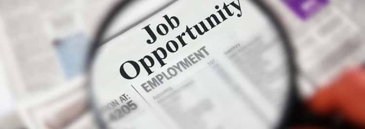 Employment