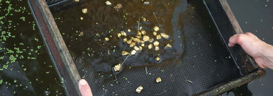 Gold Mining