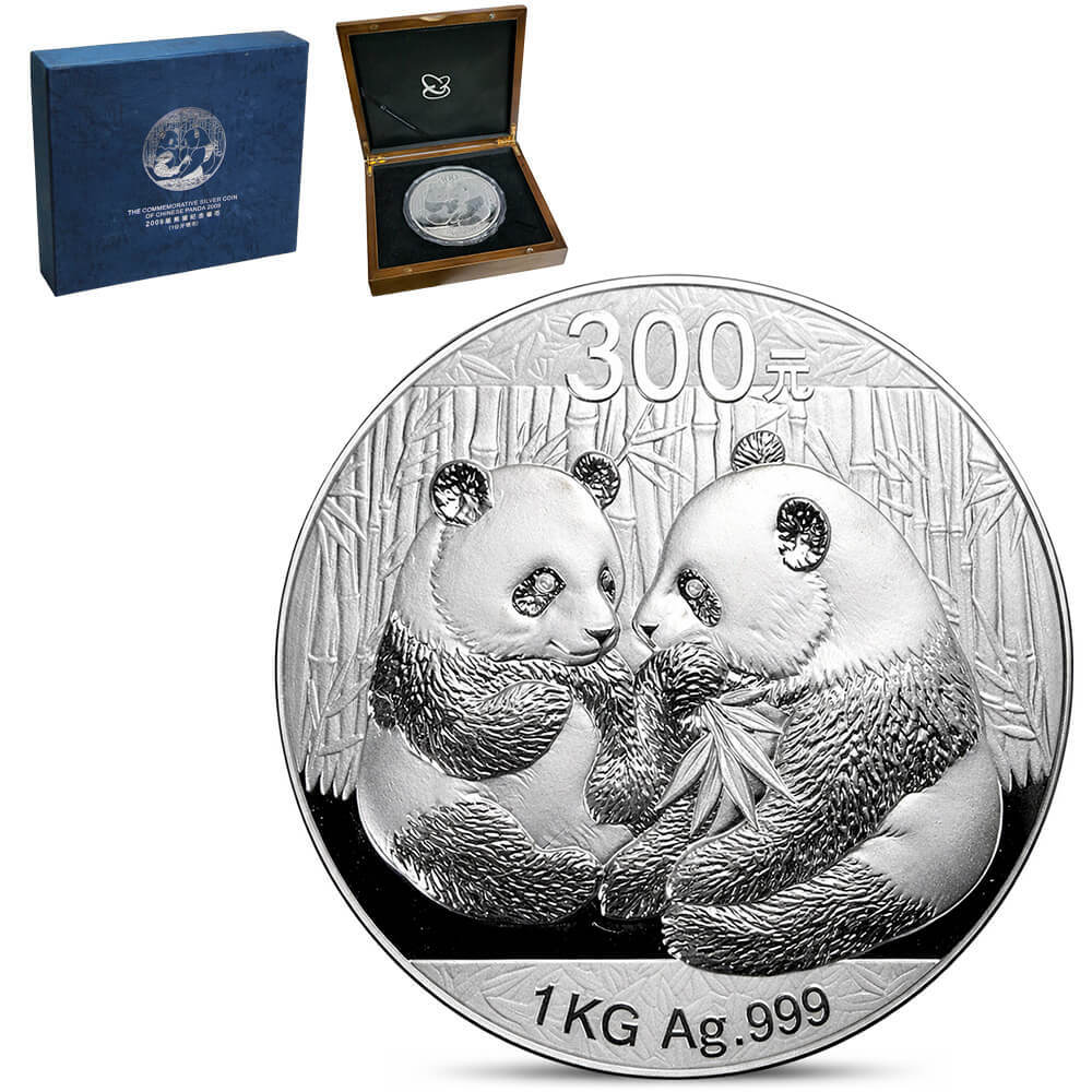 2009 1 Kilo Chinese Proof Silver Panda 300 Yuan .999 Fine (w/Box)