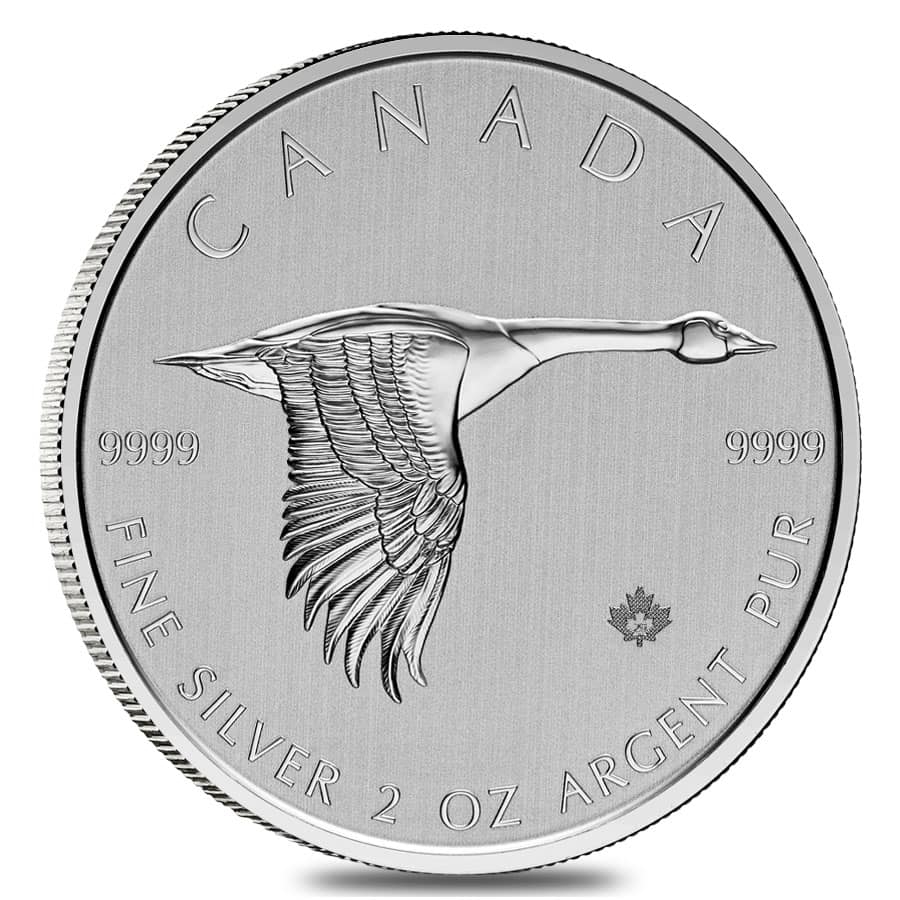 2020 2 oz Canada Goose Silver Coin .9999 Fine BU