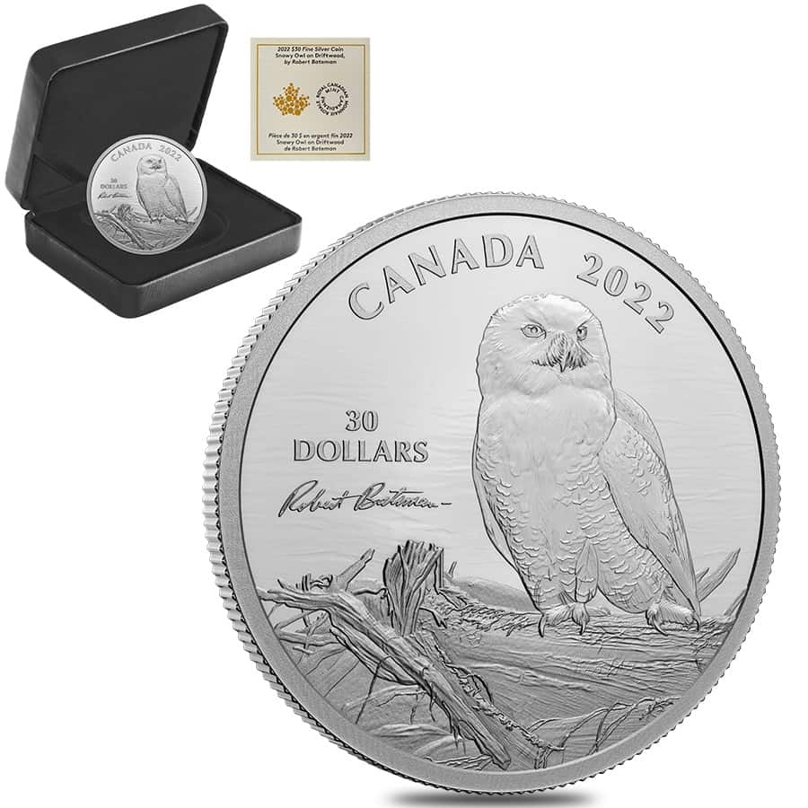 その他 Crown of Seeds ELE Cold Foil Crown of Seeds | Tales of Aria (1st Edition) | Star City Games